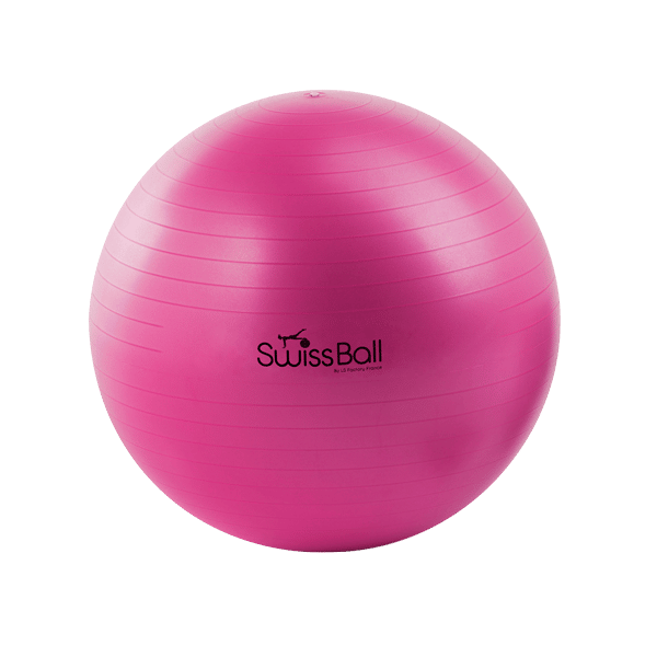 Fournisseur Ballon Suisse Yoga Gym Fitness